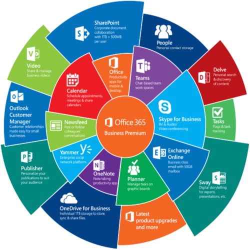 TechG Infotech Office 365 and Microsoft 365 Services